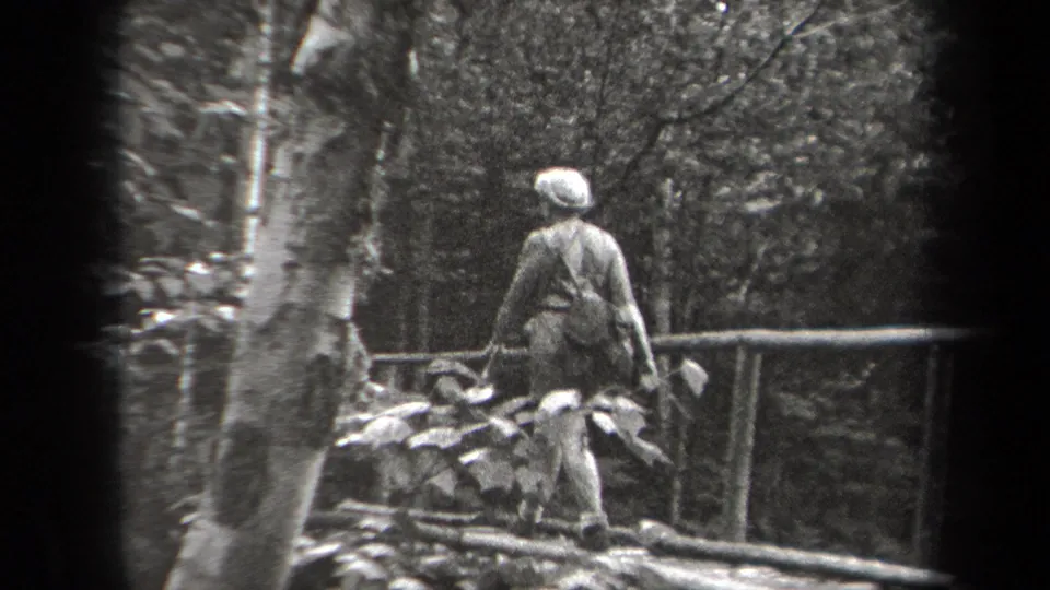A rear view shows the woman moving farther along the rustic bridge, with tree trunks and large leaves in the foreground.