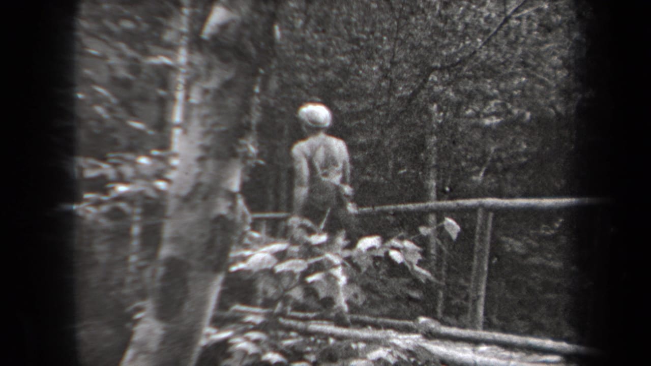 1938 New York 8mm frame showing a woman from behind on a rustic bridge surrounded by trees and foliage.