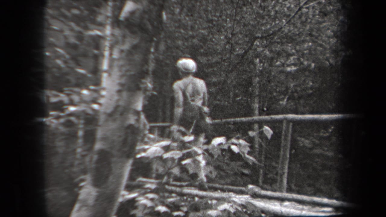 Woman stands or walks near a wooden bridge rail among trees.