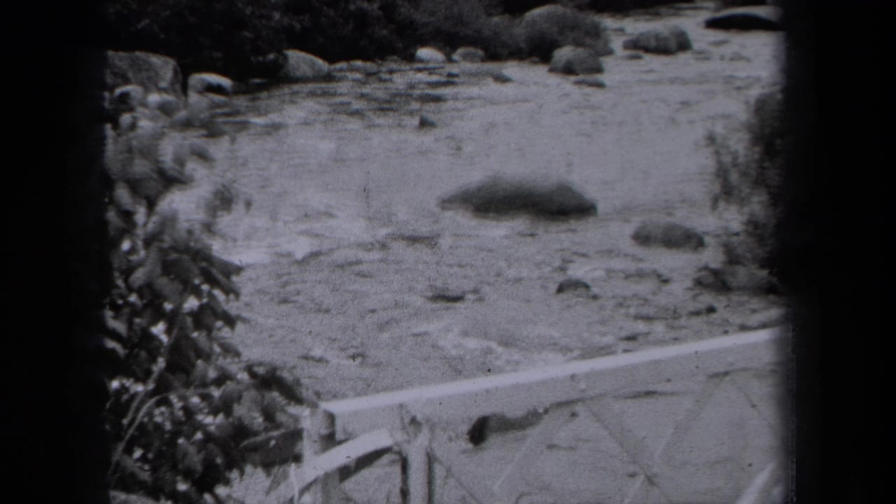 Shallow stream with rocks, foliage, and a pale railing or bridge edge in black and white.
