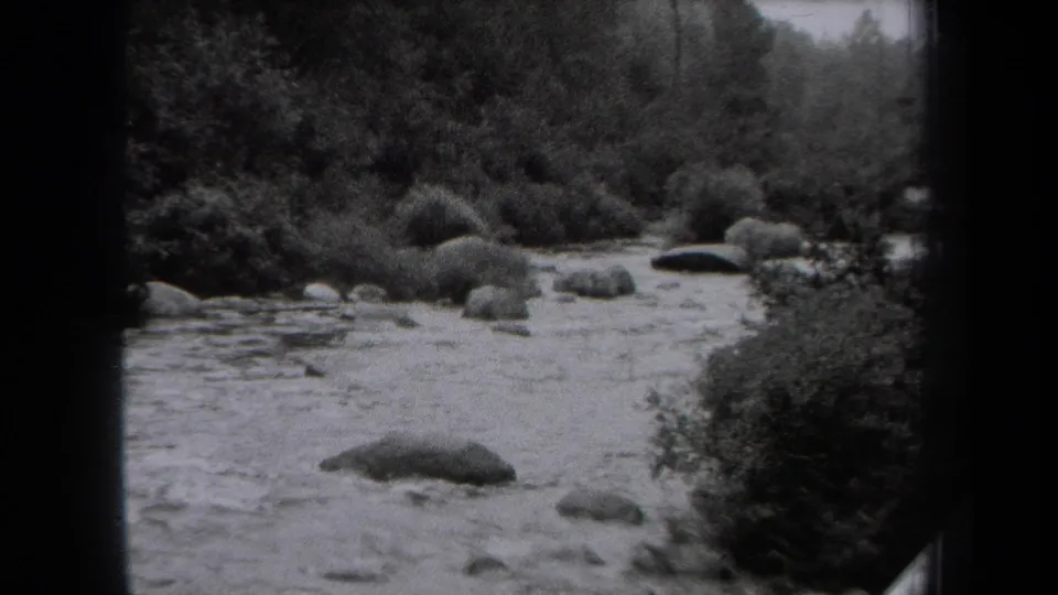 1938 New York 8mm frame showing a rocky stream bordered by dense foliage and shrubs, with no people visible.