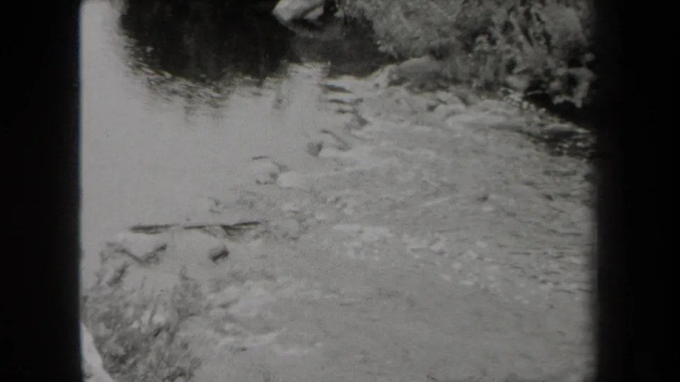 Black-and-white 8mm view of a shallow stream in New York, with rippling water, rocks, and dense vegetation along the bank.