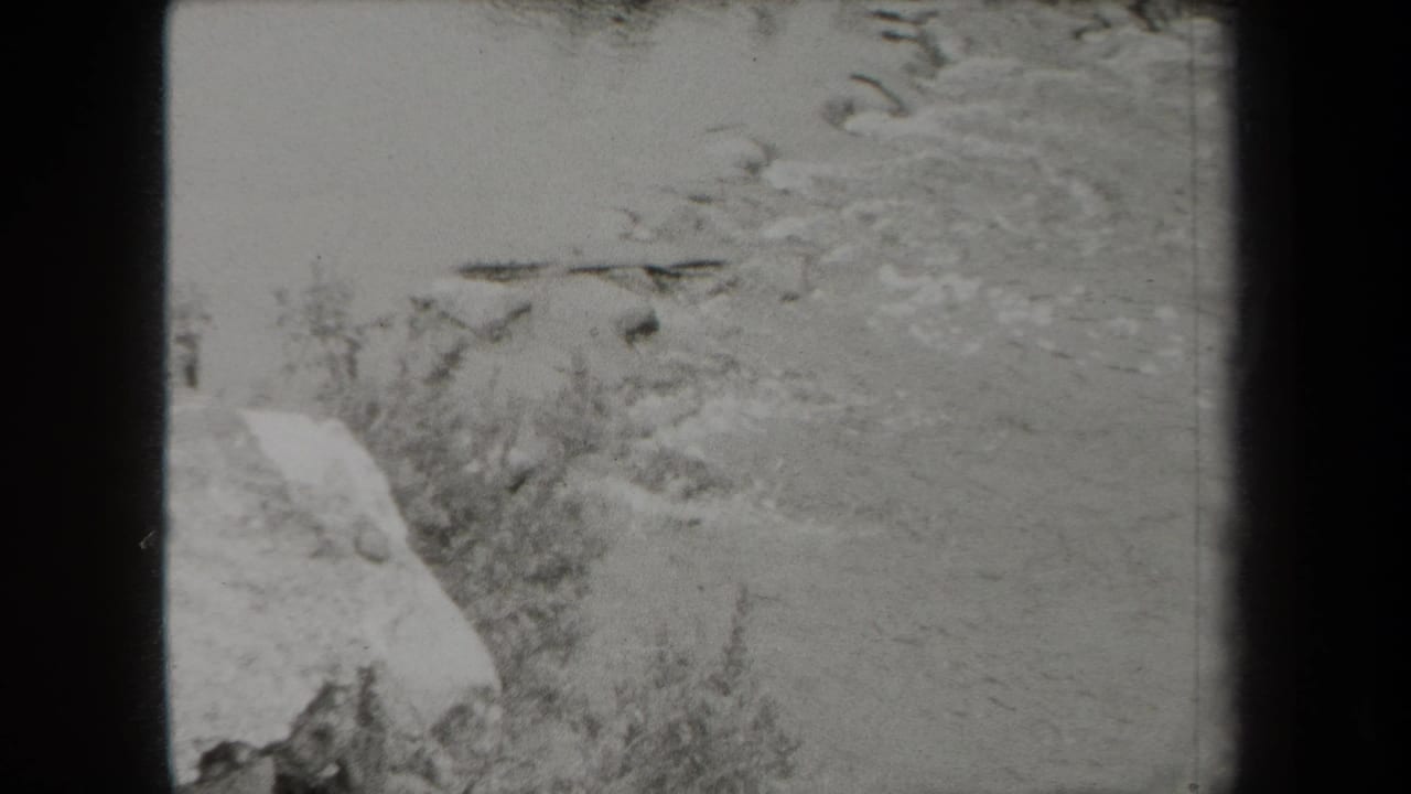 Black-and-white 1938 8mm frame showing a wooded creek in New York, with rocks, brush, and water filling the view.