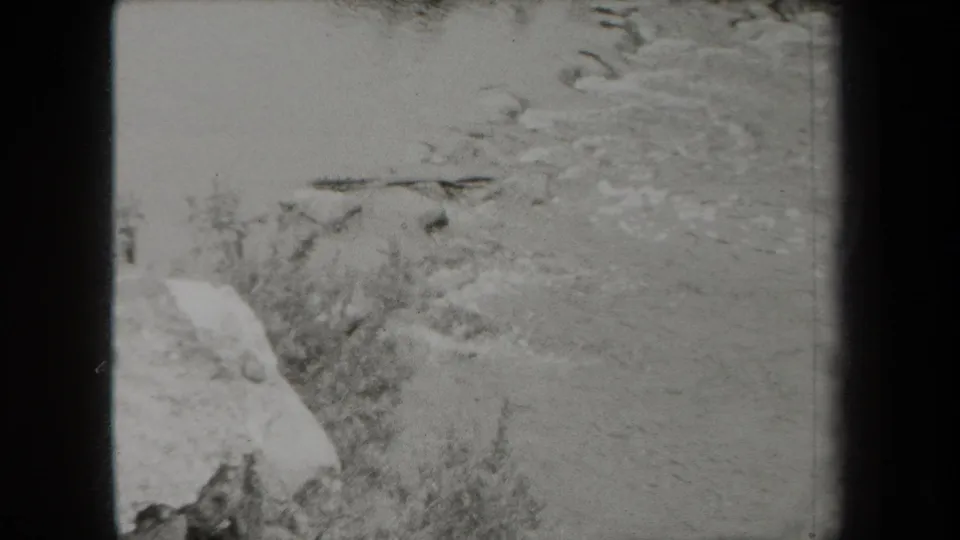 Black-and-white 1938 8mm frame showing a wooded creek in New York, with rocks, brush, and water filling the view.