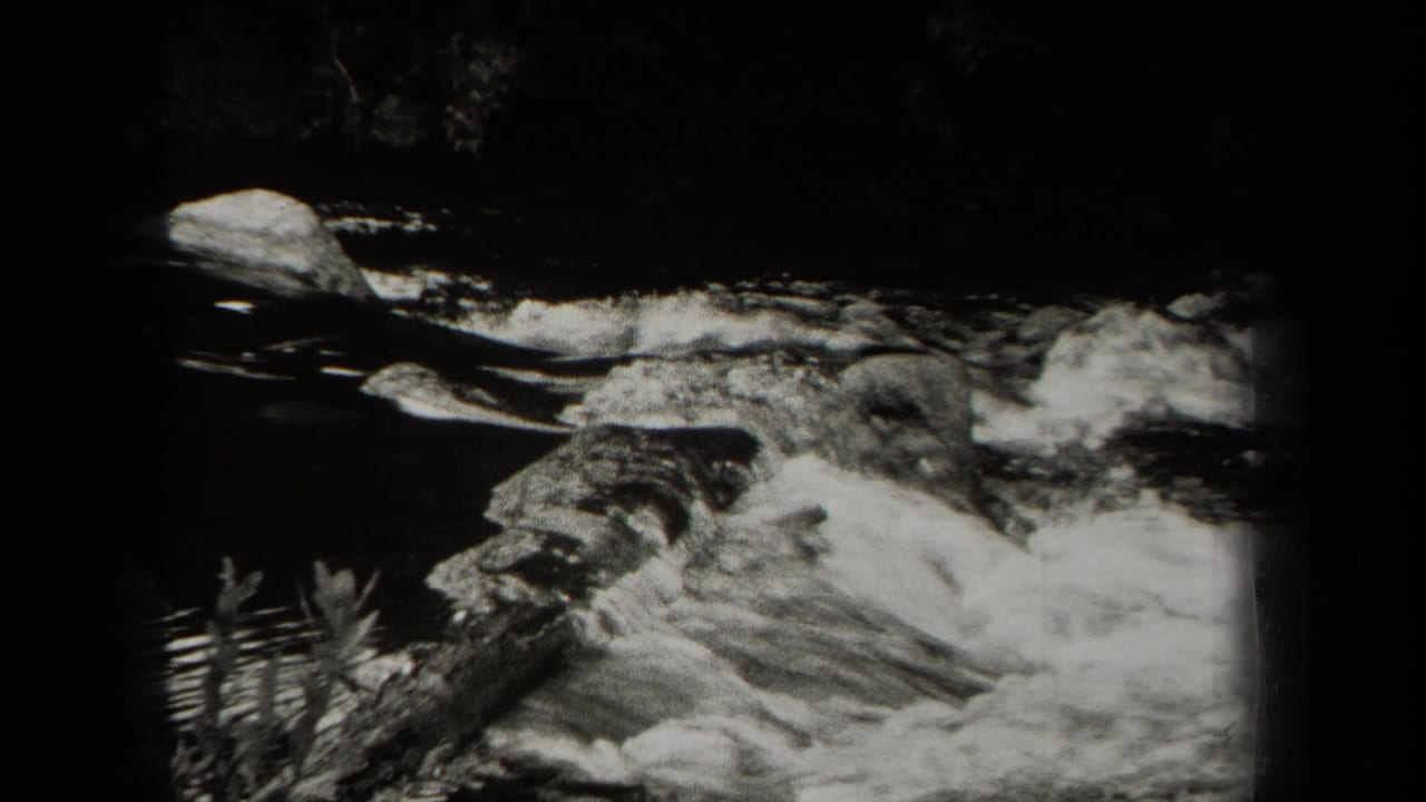 River current and white water beside plants at the bank.