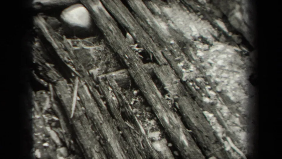 Close black-and-white frame of weathered wooden debris, rocks, twigs, and rough ground in the damaged outdoor scene.