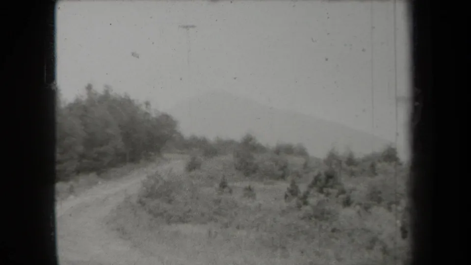 A quiet New York countryside road bends through trees and scrub, with a distant mountain barely visible through haze.