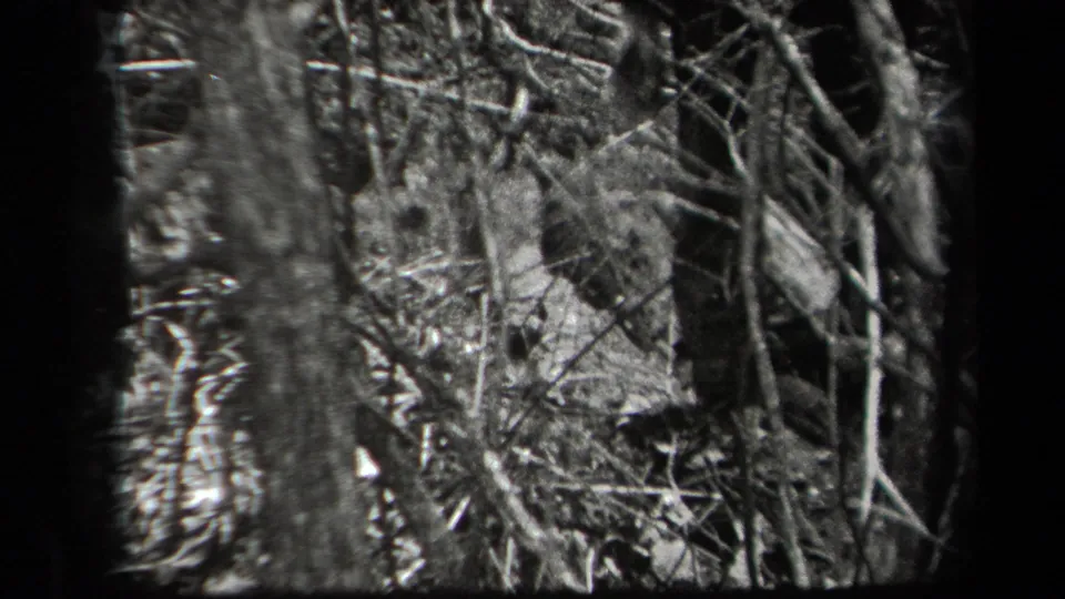 Grainy 8mm frame of a crouching adult man partly obscured by trees and brush during the wooded outdoor scene.
