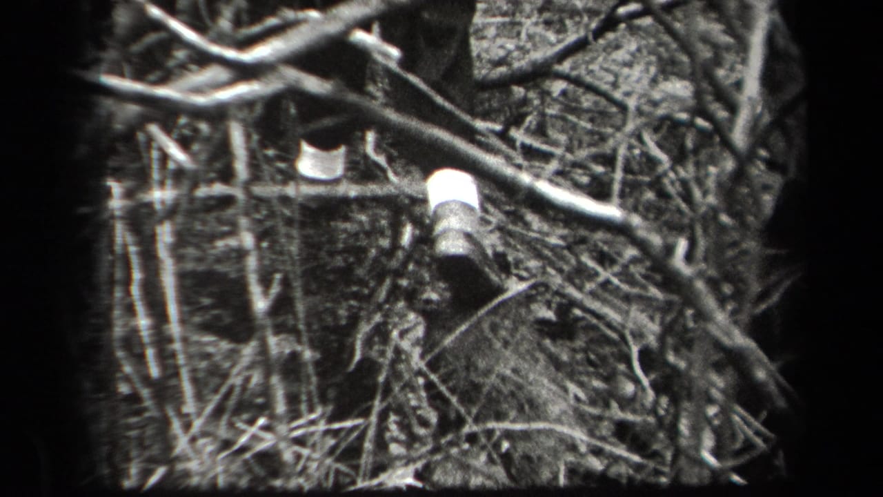Shoes and lower legs appear among dense bare branches and forest debris.