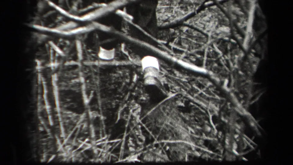 The frame shows a first-person view of shoes and lower legs amid dense woodland brush, with bare branches crossing the 1938 New York 8mm frame.