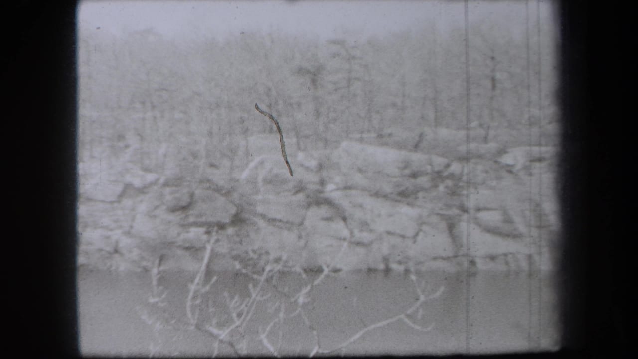 1938 New York 8mm frame showing a snow-covered bank, bare branches, rocks, and a calm body of water in winter.