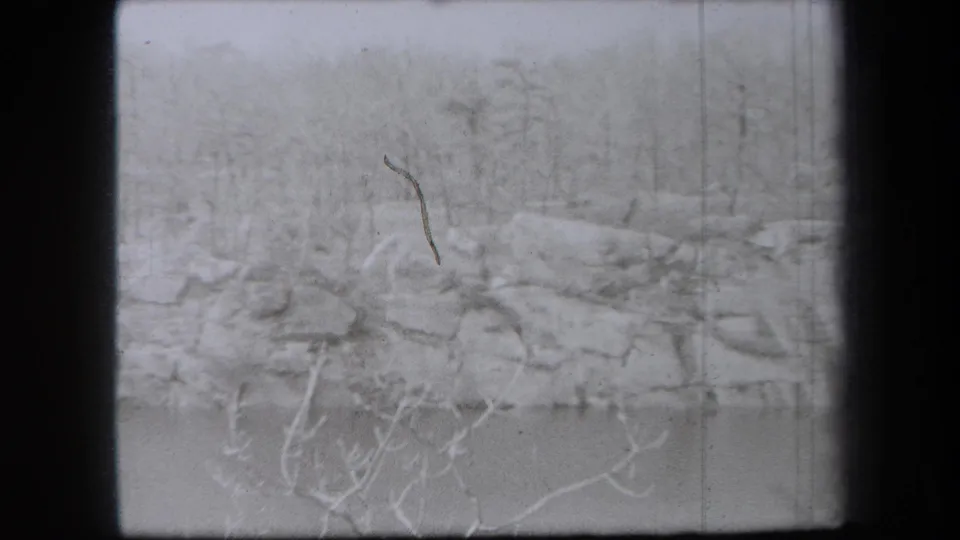 1938 New York 8mm frame showing a snow-covered bank, bare branches, rocks, and a calm body of water in winter.