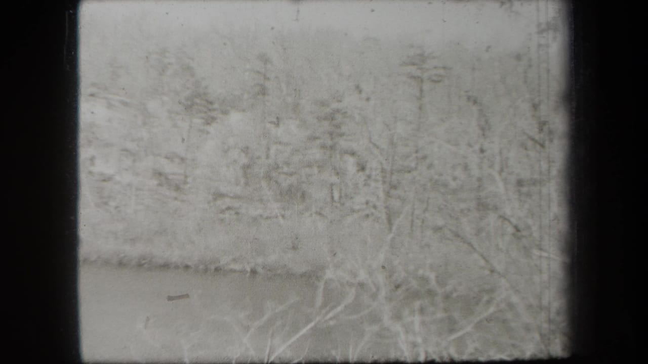 Uncolored 1938 New York 8mm frame with faint trees and a wooded scene obscured by exposure and film wear.