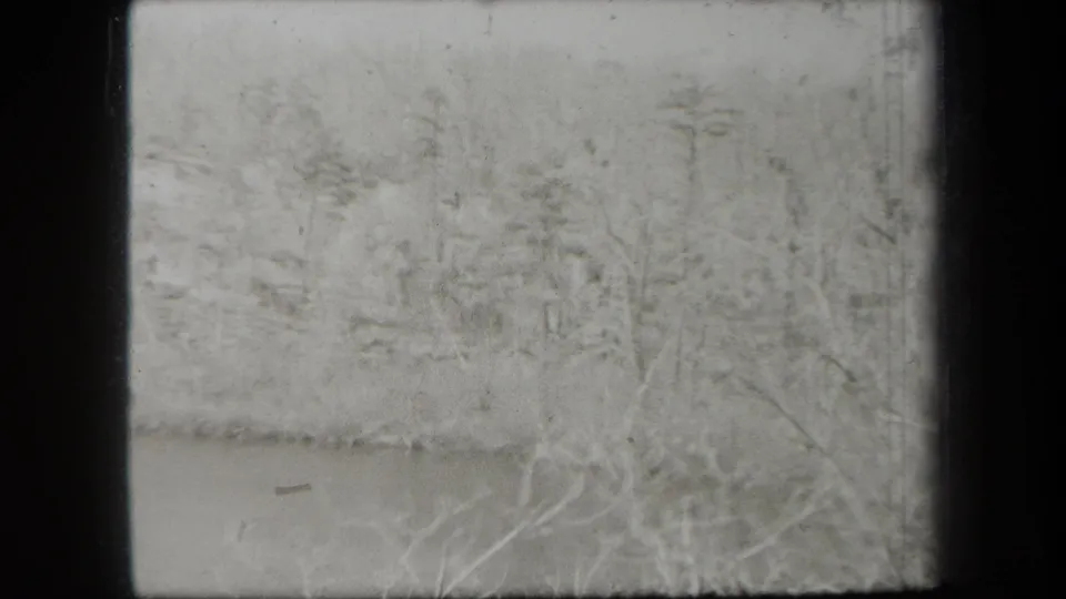 Uncolored 1938 New York 8mm frame with faint trees and a wooded scene obscured by exposure and film wear.