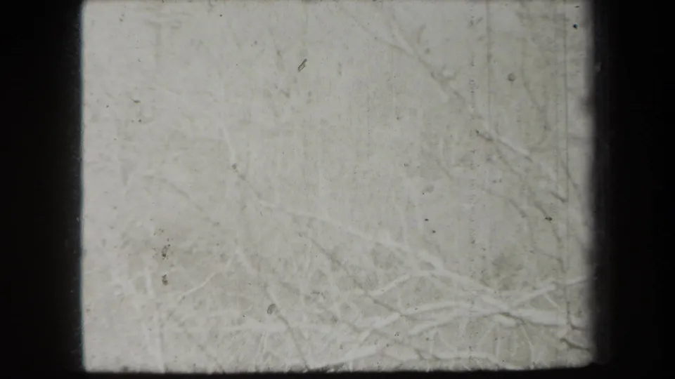 Uncolored 1938 New York 8mm frame showing bare woodland branches through heavy scratches and uneven exposure.