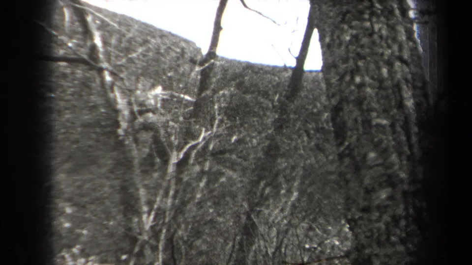 The camera looks across a rocky New York forest slope with bare trees and no clearly visible person in this frame.