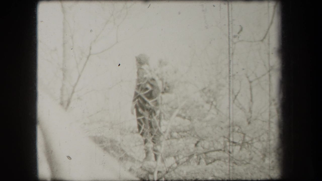 Distant walker on a wooded path among bare trees and brush.