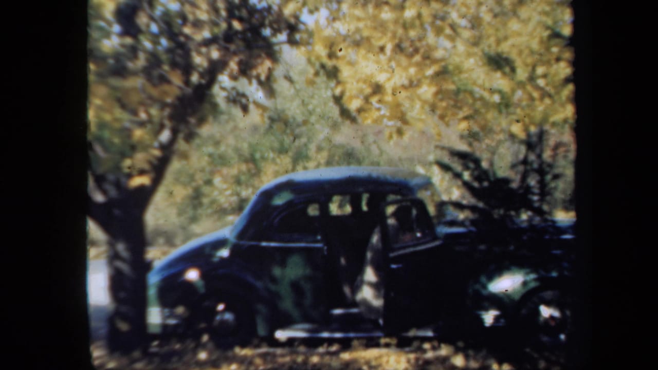 Person begins stepping out of a dark vintage sedan parked beneath leafy trees.