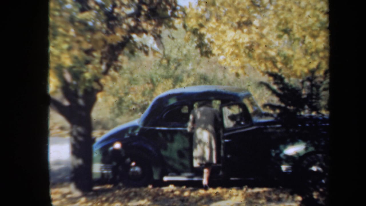 A woman in a long dress stands beside a dark vintage automobile with its door open in a leafy 1939 New York outdoor setting.