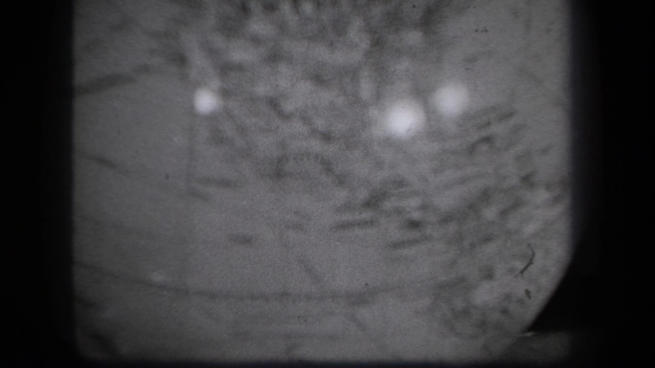 Soft black-and-white close-up of a globe surface with bright reflections and dark film borders.