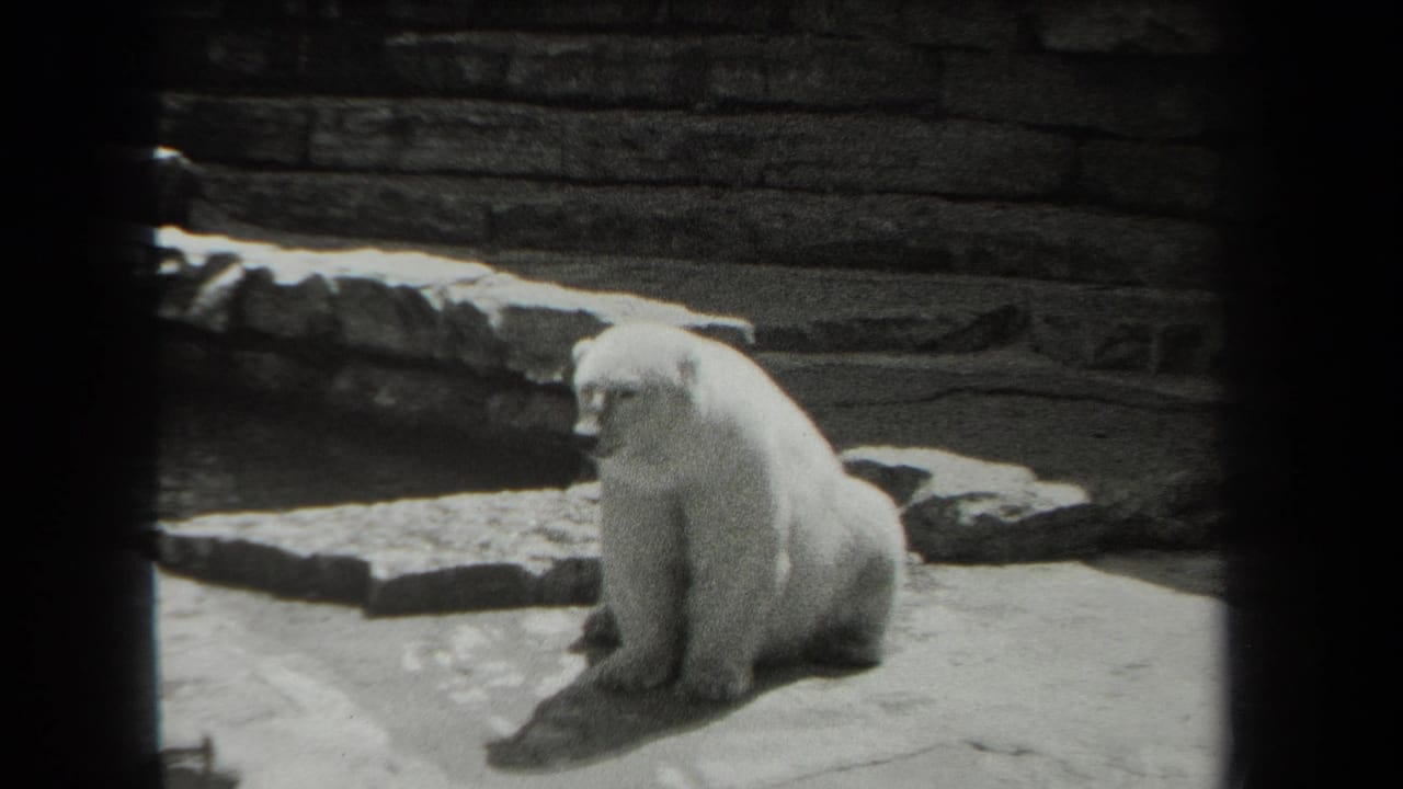 Polar bear sitting on stone slabs inside a zoo enclosure.