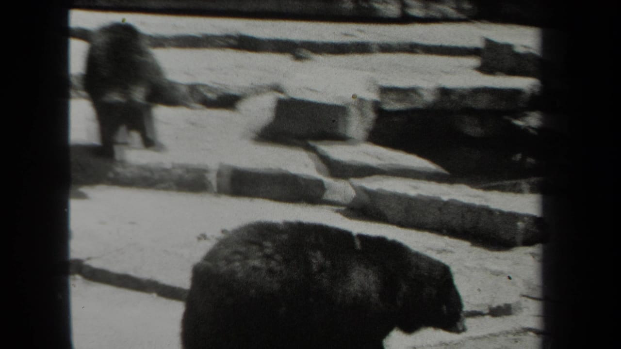 A black bear moves through a stone zoo enclosure in metadata-supported 1939 New York home-movie footage.