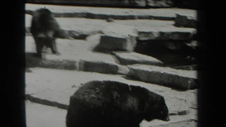 A black bear moves through a stone zoo enclosure in metadata-supported 1939 New York home-movie footage.