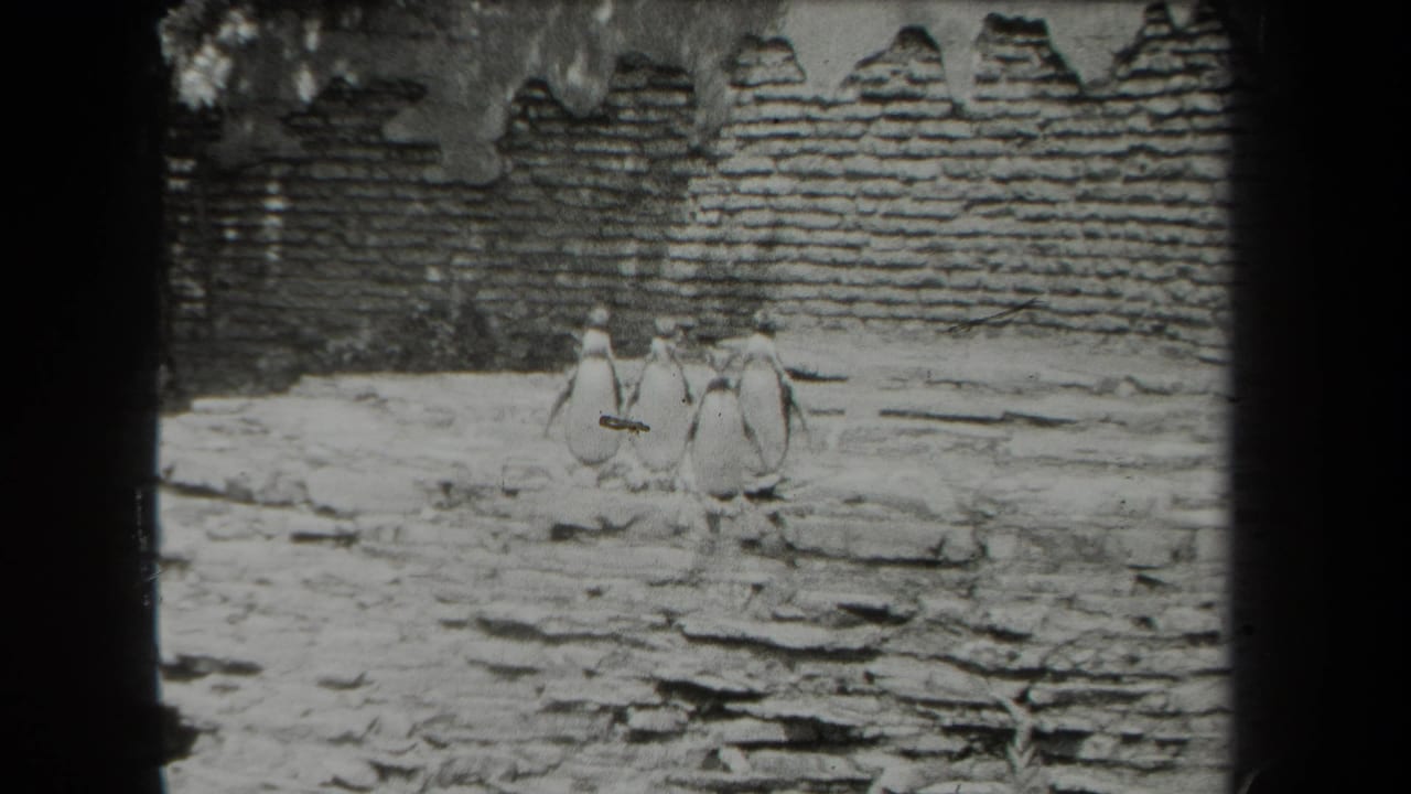 Three penguins standing on snowy rocks before a textured brick wall.