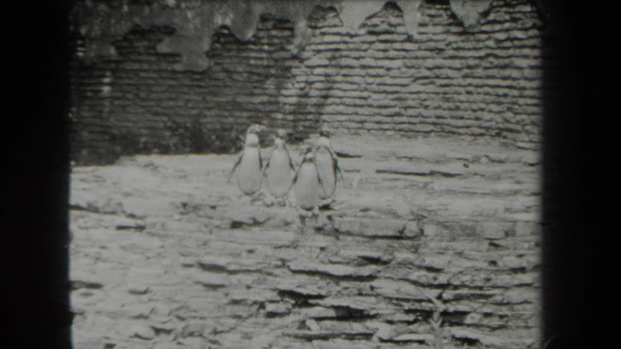Penguins huddled near a brick wall in a snowy artificial enclosure.