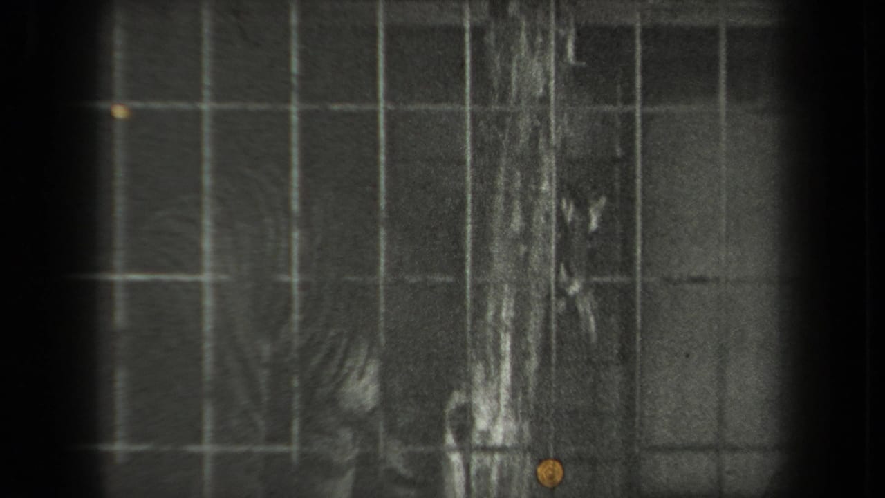 A tiger appears partly obscured behind square metal cage bars in dark black-and-white 8mm zoo footage.