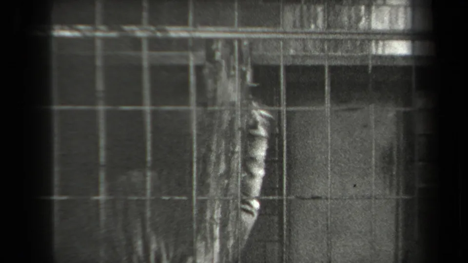 A tiger is seen through a gridded zoo cage, partly blocked by a vertical trunk or post in the foreground.