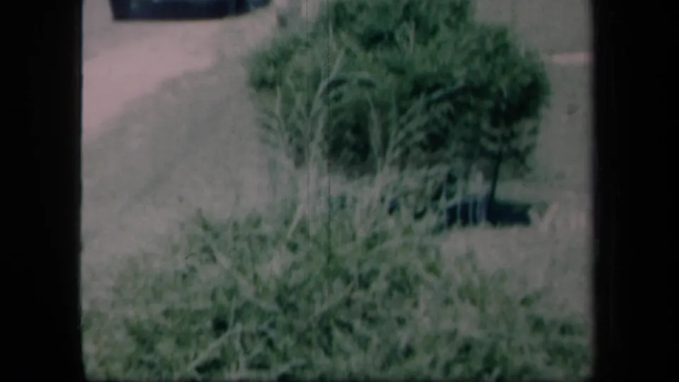 1958 New York home-movie frame showing leafy bushes and a grassy yard in soft focus, with dark scan borders at the sides.