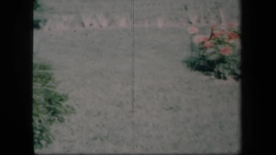 1958 New York home-movie frame showing a grassy lawn, low pink flowers, and nearby greenery during a slow yard pan.