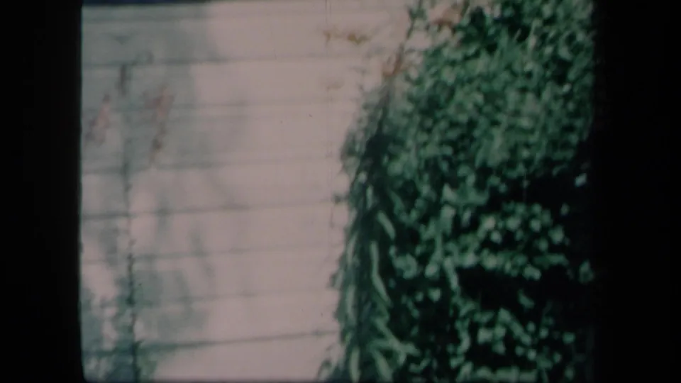 1958 New York home-movie frame with dense shrubbery against a pale wall, showing heavy shadow, faded color, and 8mm softness.