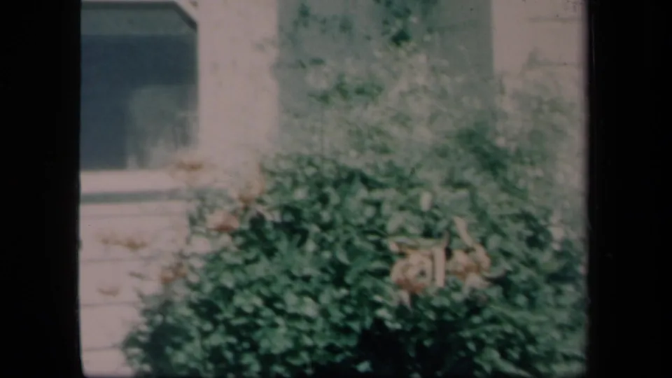 1958 New York 8mm frame showing a window, pale siding, and thick leafy plants in a residential exterior scene.