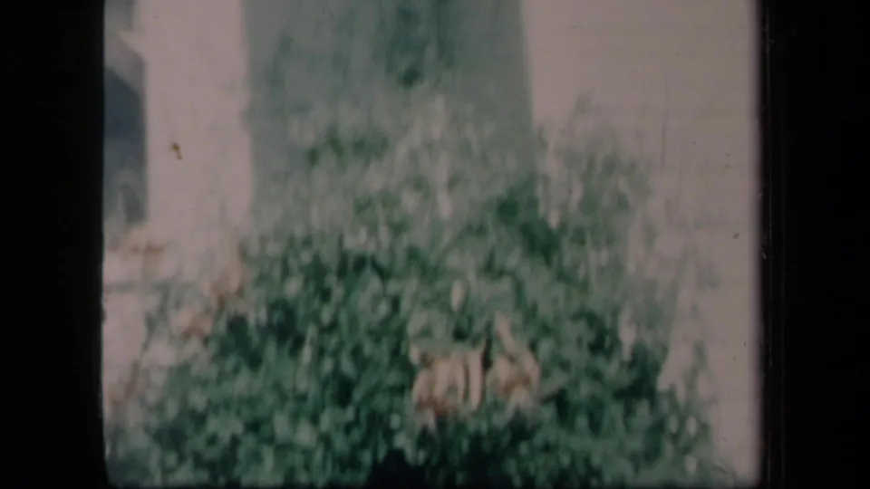 1958 New York home-movie frame with blurred greenery beside a light building wall, showing grain, faded color, and contact-sheet framing.
