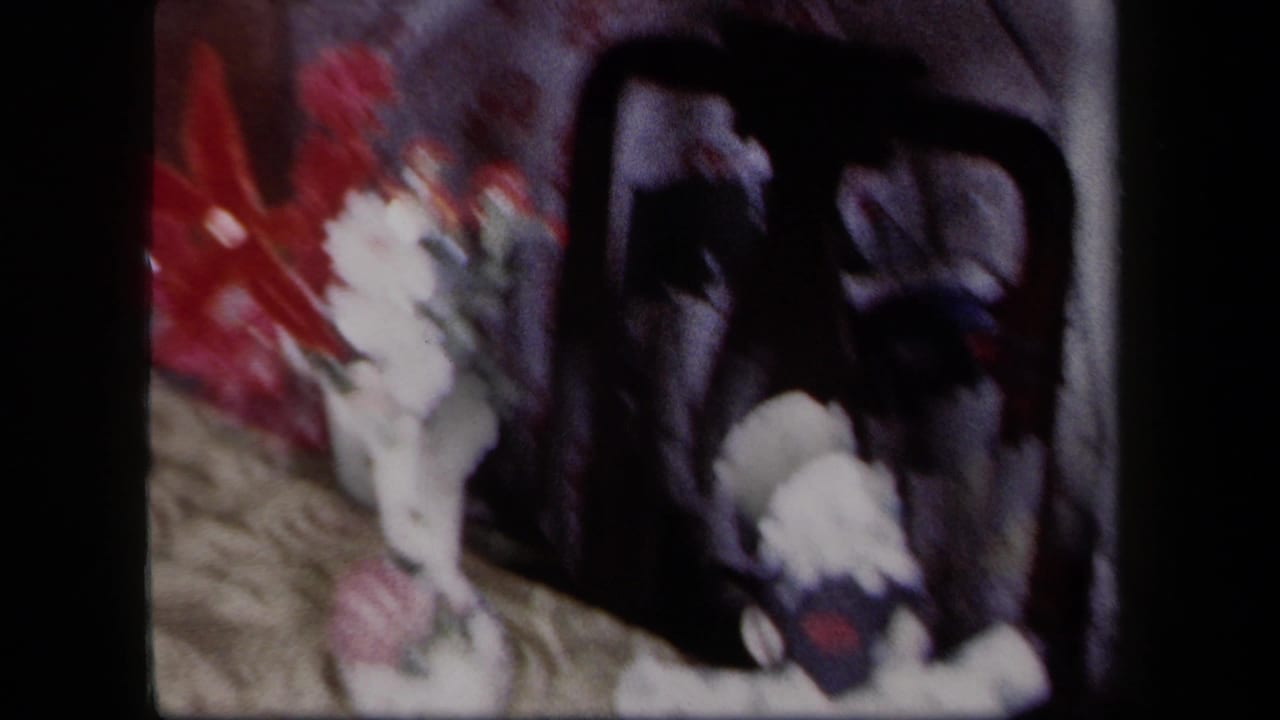 Soft 8mm frame from the 1958 New York clip showing flowers and indistinct dark kitchen or household objects.