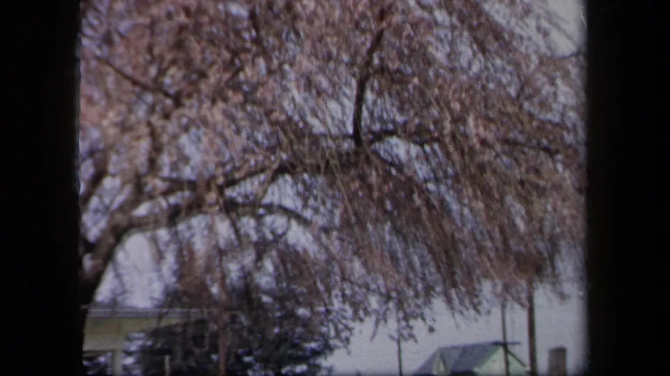 Tree branches, some with blossoms or early foliage, frame a suburban house roofline in 1958 New York home-movie footage.