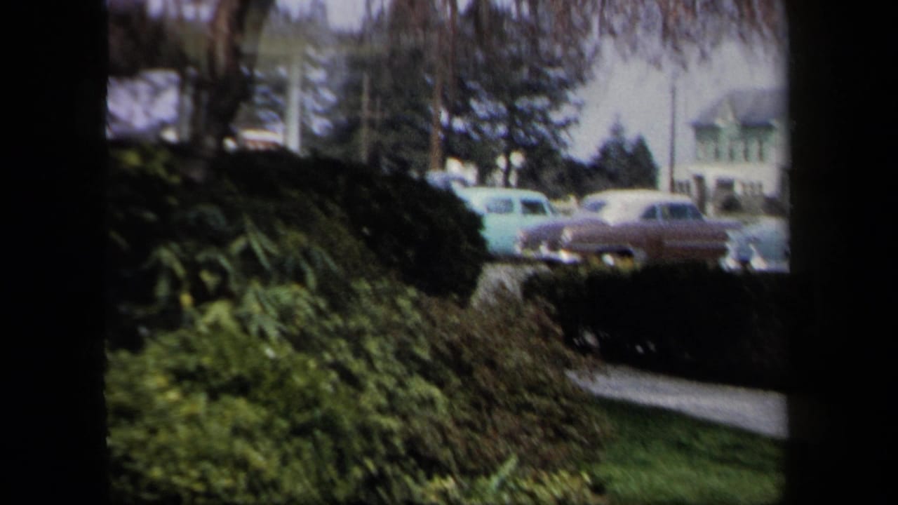 Parked 1950s cars line a street behind shrubs and a sidewalk.