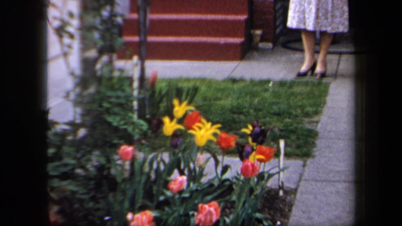 1958 New York home-movie frame showing tulips, lawn, sidewalk, red steps, and the lower half of a woman in a floral dress.