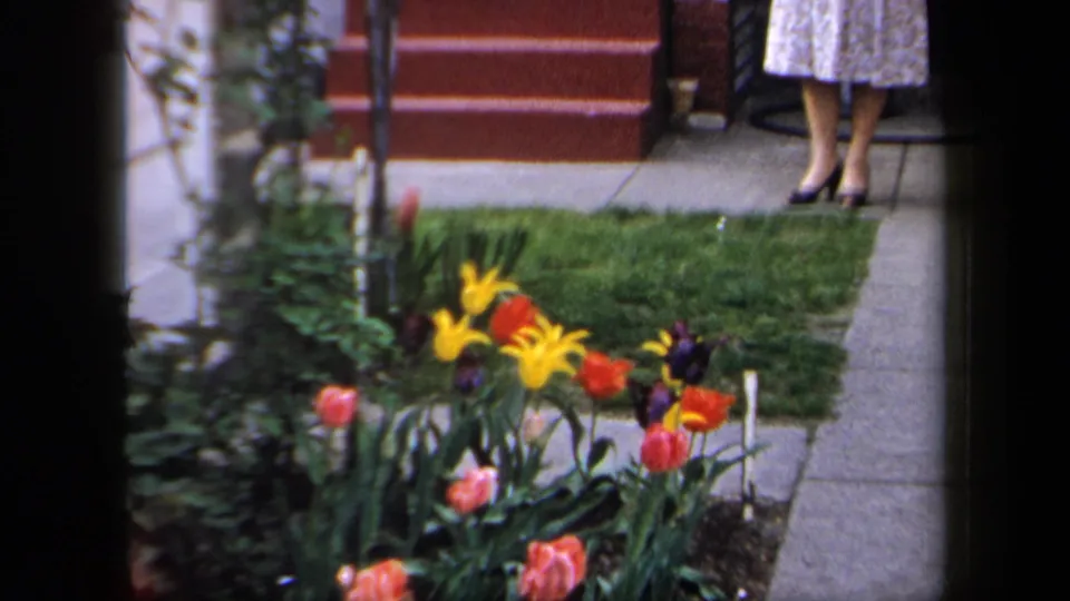 1958 New York home-movie frame showing tulips, lawn, sidewalk, red steps, and the lower half of a woman in a floral dress.