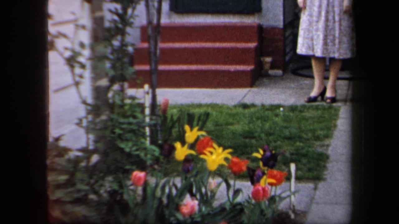Front garden with tulips and red steps, with a woman partly visible near the entrance.