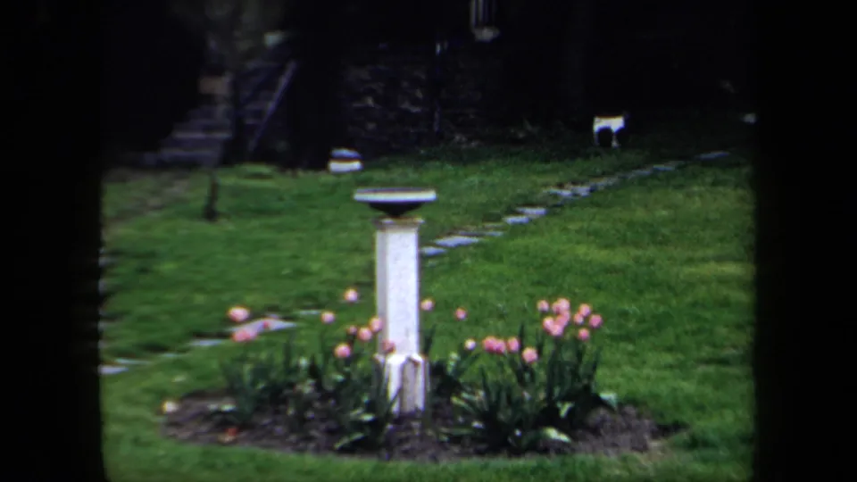 A garden cutaway shows a white birdbath surrounded by pink tulips, lawn, trees, and a stepping-stone path.