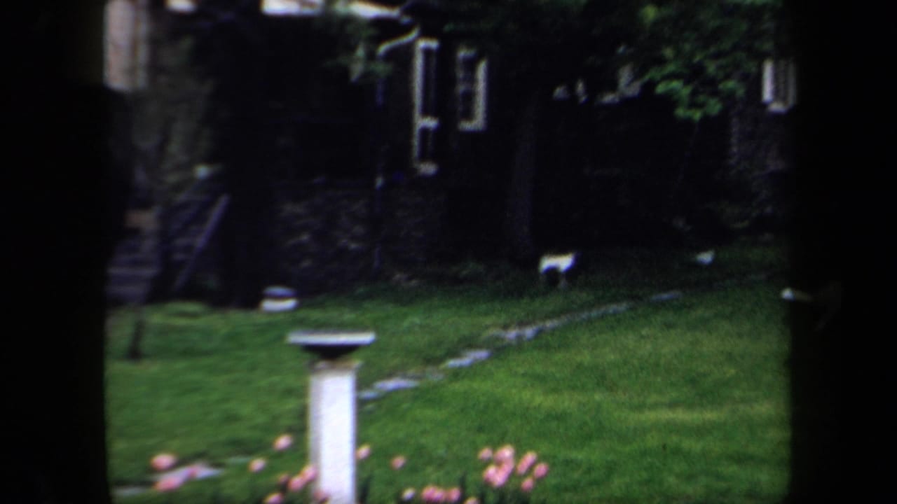 1958 New York home-movie frame showing a shaded green yard with a white birdbath, pink tulips, stone path, and dark brick house.