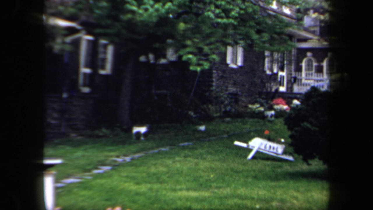 Lawn and stone path leading toward a house, with a small white dog and tipped lawn chair visible.
