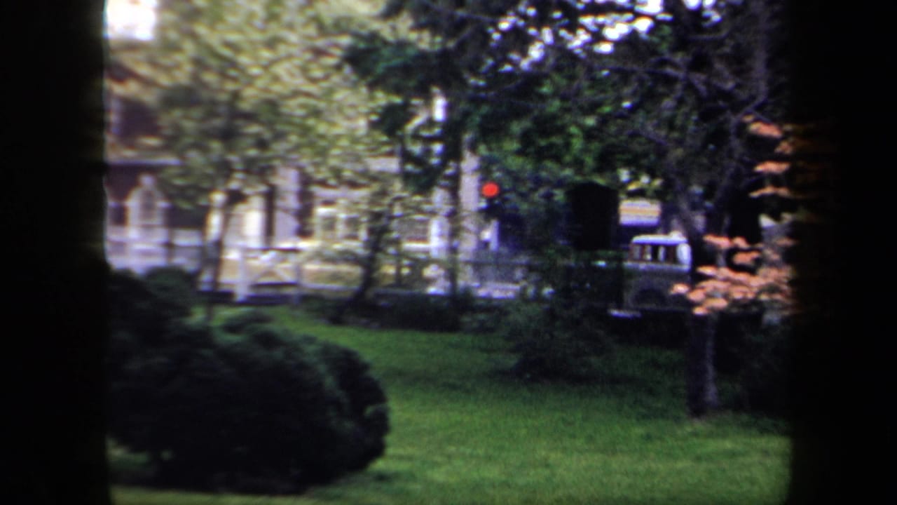 1958 New York home-movie frame looking through dark tree trunks across grass toward a fence, foliage, and a distant red traffic light.