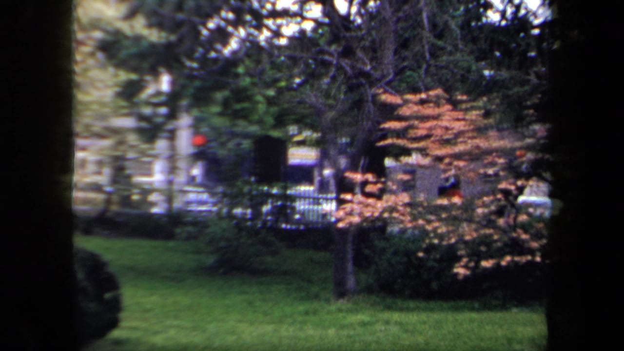 1958 New York park-side view with green grass, layered foliage, a small orange-leaved tree, and a street partly visible in the distance.