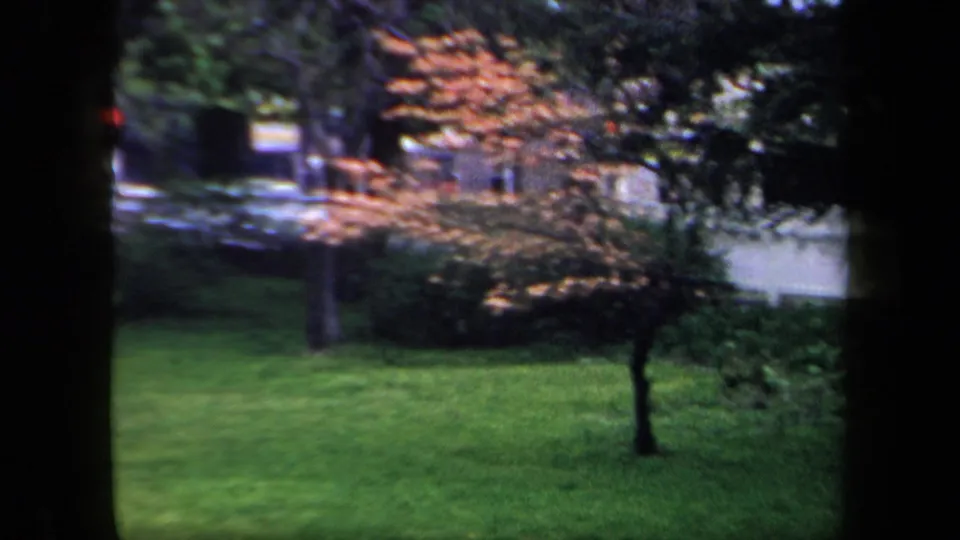1958 New York home-movie view across a green lawn toward shrubs, trees, and a partly obscured street at the edge of the park.