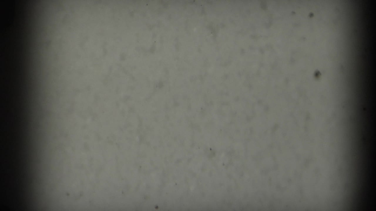 Mostly blank grey film frame with dark vertical edge shadows and small dust marks.