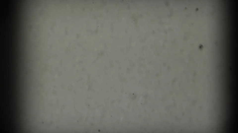 Blank noisy 8mm frame after the park scene, showing grey film texture, dust specks, and dark vertical borders.